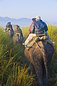 Tourists on elephants, Kaziranga National Park, UNESCO World Heritage Site, Assam, Northeast India, India, Asia