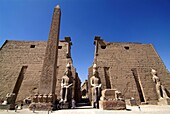 Luxor Temple, Luxor, Thebes, UNESCO World Heritage Site, Egypt, North Africa, Africa