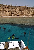 Divers in the Red Sea, Sharm el-Sheikh, Egypt, North Africa, Africa