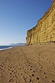 Beach and cliffs, Burton Bradstock, Jurassic Coast, UNESCO World Heritage Site, Dorset, England, United Kingdom, Europe