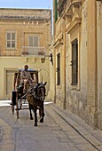 Mdina, the fortress city, Malta, Europe