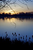Sunrise over Kingsmill Reservoir, Sutton in Ashfield, Nottinghamshire, England, United Kingdom, Europe