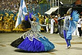 Carnival parade at the Sambodrome, Rio de Janeiro, Brazil, South America