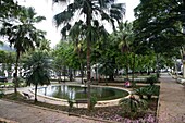 Pond in Praca Gomes Freire, Mariana, Minas Gerais, Brazil, South America