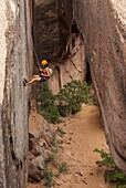 Tourist hanging on a rope while Canyoning in the area of the Slickrock Trail, near Arches National Park, Moab, Utah, United States of America, North America