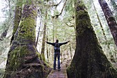 A hiker in the old growth forest at Carmanah Walbran Provincial Park, Vancouver Island, British Columbia, Canada, North America
