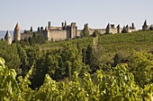 Cracassonne old city, & vineyards, Aude, France