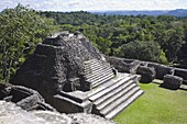 Plaza B temple, Mayan ruins, Caracol, Belize, Central America