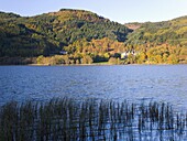 Autumn view across Loch Achray to wooded hills, the former Trossachs Hotel visible, near Aberfoyle, Loch Lomond and the Trossachs National Park, Stirling, Scotland, United Kingdom, Europe