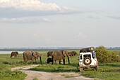 Group of elephants and landrover, Chobe National Park, Botswana, Africa