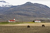 Church near Breiddalswik, Iceland, Polar Regions