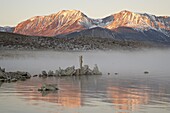 Morning light, Mono Lake, California, United States of America, North America