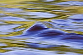 Golden ripples in the Kettle River, Banning State Park, Minnesota, United States of America, North America