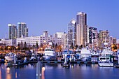 Tuna Harbor and skyline, San Diego, California, United States of America, North America
