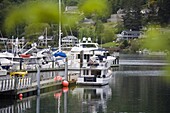 Gig Harbor Marina, Tacoma, Washington State, United States of America, North America