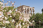 Philae Temple near Aswan, Egypt, North Africa, Africa