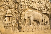 The famous bas relief panel popularly known as Arjuna's Penance at Mahabalipuram (Mamallapuram), UNESCO World Heritage Site, Tamil Nadu, India, Asia