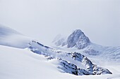 The Southern Alps, near the Fox Glacier, South Island, New Zealand, Pacific