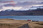 Red-roofed house and snow-capped mountains in Reydarfjordur fjord, East Fjords, Iceland, Polar Regions