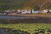 Famjin village, west coast of Suduroy Island, Faroe Islands (Faroes), Denmark, Europe