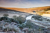 Sunlight thaws the frosted moorland landscape near Landacre Bridge,  Exmoor National Park,  Somerset,  England,  United Kingdom,  Europe