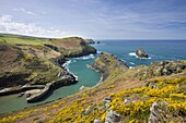 Boscastle Harbour from Penally Hill,  North Cornwall,  England,  United Kingdom,  Europe