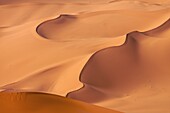 The dunes of the erg of Murzuk in the Fezzan desert,  Libya,  North Africa,  Africa