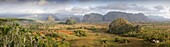 Panoramic view of the Vinales Valley showing limestone hills known as Mogotes, Vinales, UNESCO World Heritage Site, Cuba, West Indies, Central America
