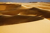 Sand dunes, The Great Sand Sea, Western Desert, Egypt, North Africa, Africa