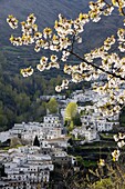 Trevelez in spring, Sierra Nevada, Andalucia, Spain, Europe