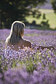 Woman in a lavender field, Provence, France, Europe