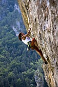 Rock climber tackles a very overhanging route on the famous limestone cliffs of the Gorge du Tarn in the Massif Central, near Millau and Rodez, south west France, Europe