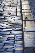 Cobble Stone Road, Prague, Czechoslovakian Republic