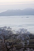 Sunrise over snow covered Towada Hachimantai National Park, Iwate prefecture, Japan, Asia