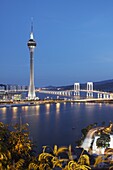 Macau Tower at dusk, Macau, China, Asia