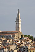The hilltop Cathedral of St. Euphemia and old buildings in Rovinj, Istria, Croatia, Europe