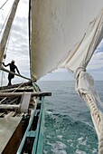 Dhow, Pangani, near Tanga, Tanzania, East Africa, Africa