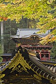 Taiyu-in Mausoleum, Nikko, Central Honshu (Chubu), Japan, Asia