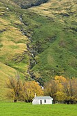Hut, Matukituki Valley, Wanaka, Central Otago, South Island, New Zealand, Pacific