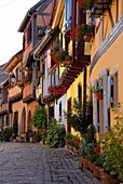 Timbered houses on cobbled street, Eguisheim, Haut Rhin, Alsace, France, Europe