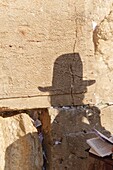 Worshipper at the Western Wall, Jerusalem, Israel, Middle East