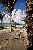 A hammock on an empty beach, Antigua, Leeward Islands, West Indies, Caribbean, Central America