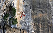 A man on a long and technically demanding face climb on the limestone cliffs of the Mascun Canyon, Rodellar, Sierra de Guara, Aragon, southern Pyrenees, Spain, Europe