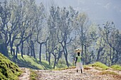 Woman carrying a basket on her head, Kenscoff Mountains above Port au Prince, Haiti, West Indies, Caribbean, Central America