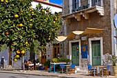 Orange tree in a little village in the Lakonian Mani, Peloponnese, Greece, Europe