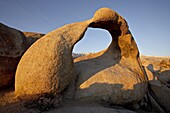 Mobius Arch framing Mt. Whitney at dawn, Alabama Hills, Inyo National Forest, California, United States of America, North America
