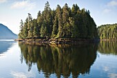 Yes Bay in the Cleveland Peninsula region of Southeast Alaska, Alaska, United States of America, North America