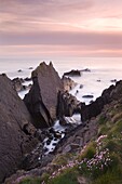 Jagged rocks at Hartland Point on the North Coast of Devon, England, United Kingdom, Europe
