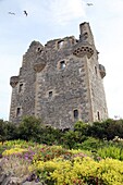 View of castle at Scalloway on Shetland's Mainland, Shetland Islands, Scotland, United Kingdom, Europe