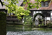 Mill at Blautopf, Blaubeuren, Swabian Mountains, Baden-Wurttemberg, Germany, Europe